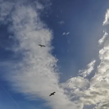 Au nom du ciel
