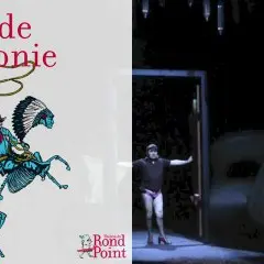 Sauve ta peau Madame ! / Prélude à l'agonie