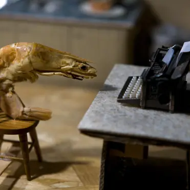 Histoires de crevettes