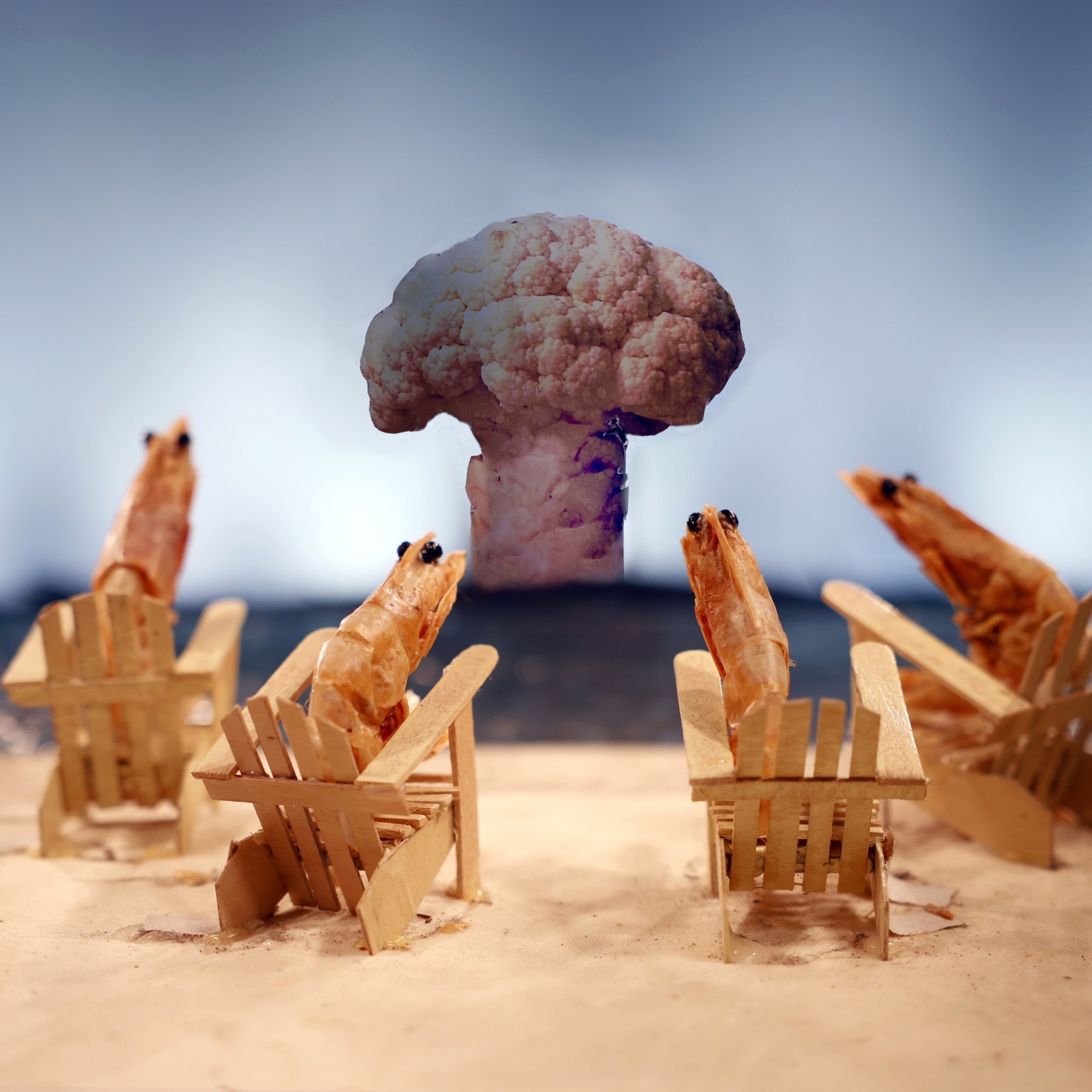 Histoires de crevettes
